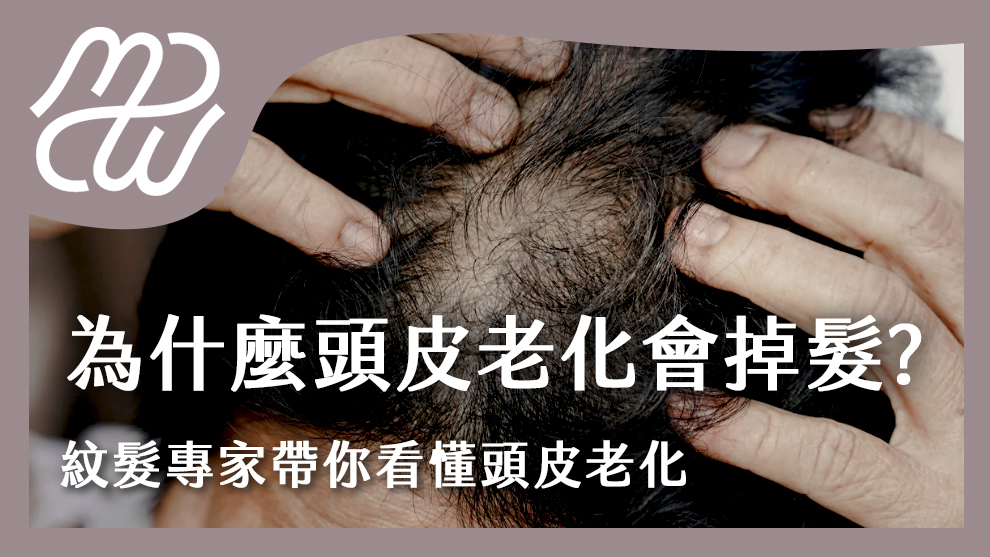 為什麼頭皮老化會掉髮？紋髮專家帶你看懂頭皮老化的徵兆與改善方式！